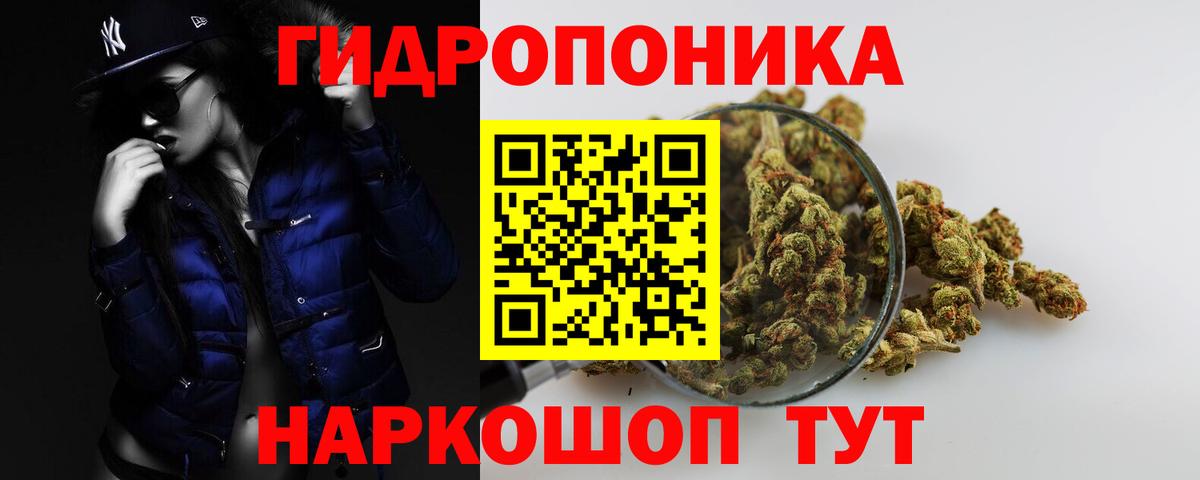 Каннабис Amnesia Малгобек